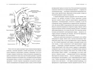 Пламенный насос: Естественная история сердца фото книги 5