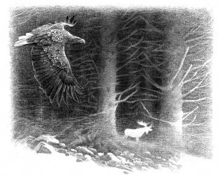 Хроники темных времен. Книга 9. Волчья погибель фото книги 6