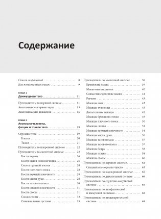 Анатомия йоги: раскраска. Изучите форму и биомеханику более чем 50 асан фото книги 2