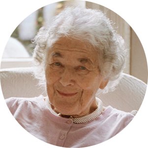 Как Гитлер украл розового кролика фото книги 6