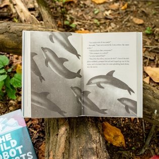 The Wild Robot Protects фото книги 4