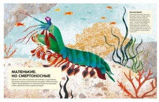 Удивительные животные. Самые-самые фото книги 5