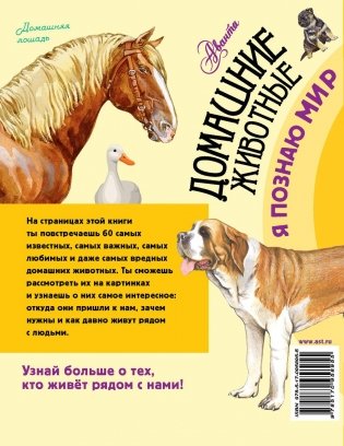 Домашние животные фото книги 8