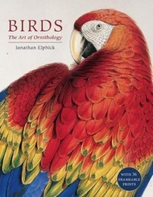 Birds: The Art of Ornithology (Boxed Set) фото книги