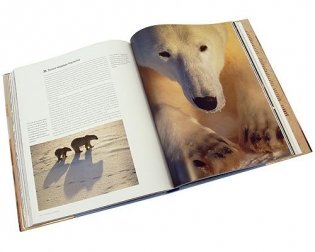 Самые красивые места дикой природы в мире фото книги 5