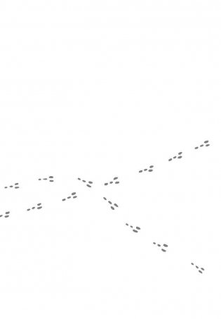 ХОЧУ… совершить прорыв! Удивительно простой закон феноменального успеха фото книги 6