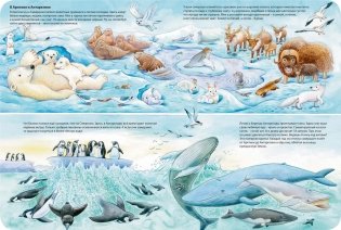 Мир животных фото книги 4
