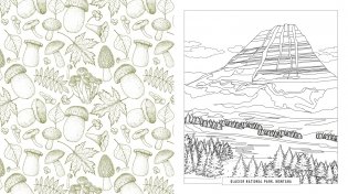 National parks coloring book фото книги 5