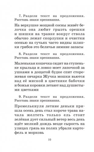 Полный курс русского языка. 2 класс фото книги 11