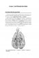 Медицинская энциклопедия фото книги маленькое 2
