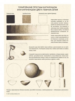 Ботаническая иллюстрация. Обучающий скетчбук фото книги 6