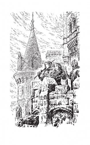 Последний отбор. Угол для дерзкого принца фото книги 3