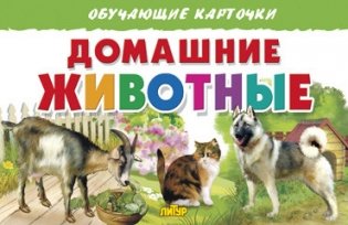 Домашние животные. Обучающие карточки фото книги
