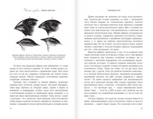 Странные вопросы о Вселенной, или Как сделать Солнце из бананового пюре фото книги 6