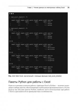 Excel с Python и R: раскройте потенциал расширенной обработки и визуализации данных фото книги 18