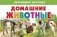 Домашние животные. Обучающие карточки фото книги маленькое 2