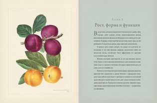 Ботаника для садоводов фото книги 2