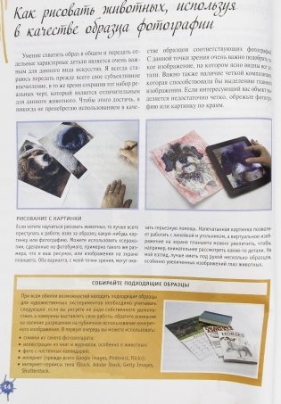 Акварельные животные фото книги 21