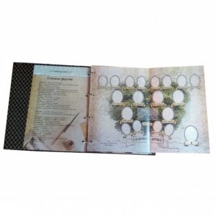 Семейная книга фото книги 4