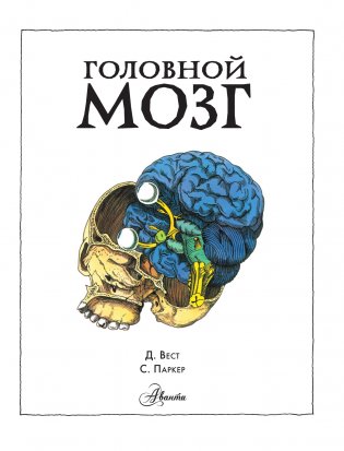 Головной мозг фото книги 2