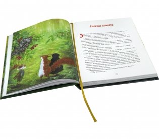 Путешествие в поисках чудища фото книги 6