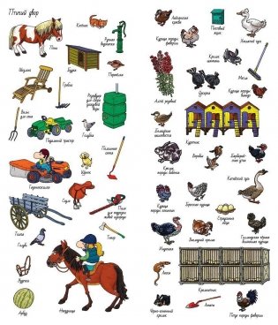 На ферме. Найди и покажи фото книги 7