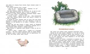 Корзина с еловыми шишками фото книги 4