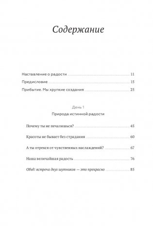 Книга радости. Как быть счастливым в меняющемся мире фото книги 2