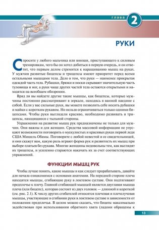 Анатомия силовых упражнений с использованием в качестве отягощения собственного веса фото книги 8
