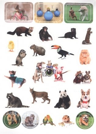 100 наклеек. Забавные животные фото книги 4