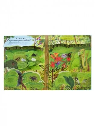 Открой тайны. Эволюция фото книги 6