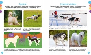 Любимые питомцы фото книги 6