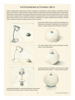 Ботаническая иллюстрация. Обучающий скетчбук фото книги 9