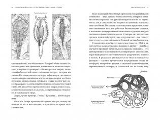 Пламенный насос: Естественная история сердца фото книги 6