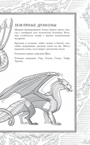 Драконья сага. Когти власти фото книги 4