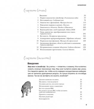 Изучаем программирование на JavaScript фото книги 2