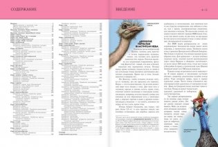Птицы. Полная энциклопедия фото книги 4