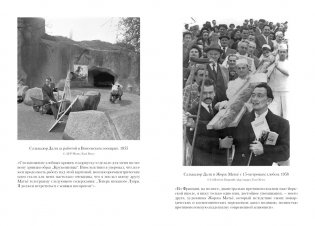 Дневник одного гения фото книги 13