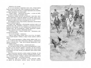 Чёрный красавчик фото книги 2