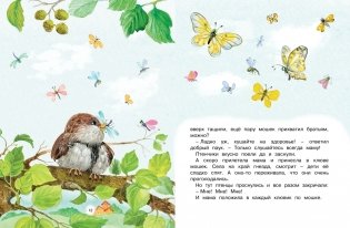 Сказки мамы и папы фото книги 6