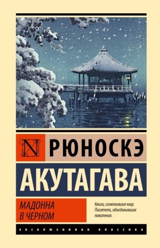 Мадонна в черном фото книги