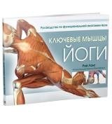 Ключевые мышцы йоги фото книги