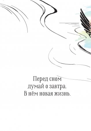 Двенадцать фото книги 9