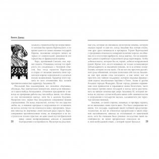 Квентин Дорвард фото книги 6