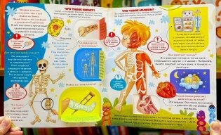 Анатомия. Умные окошки фото книги 3