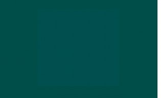 Странное происшествие на Старой Басманной. К 10-летию Дома-музея В. Л. Пушкина фото книги 5