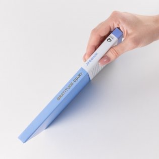 Ежедневники Веденеевой. Gratitude Diary. 1000 причин для счастья. Дневник благодарности фото книги 4