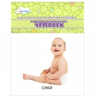 Человек. Мои первые английские слова (набор из 12 карточек) фото книги