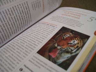 Гоа. Путеводитель фото книги 8