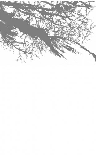 Голос монстра фото книги 2